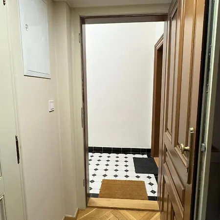 Newly Renovated In Wenceslas Square アパート プラハ