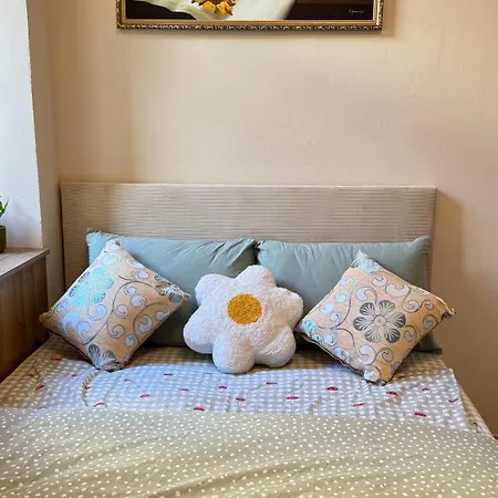 Newly Renovated In Wenceslas Square